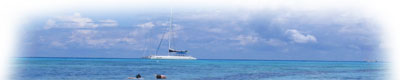 Snorkeling, Saona Island, Dominican Republic